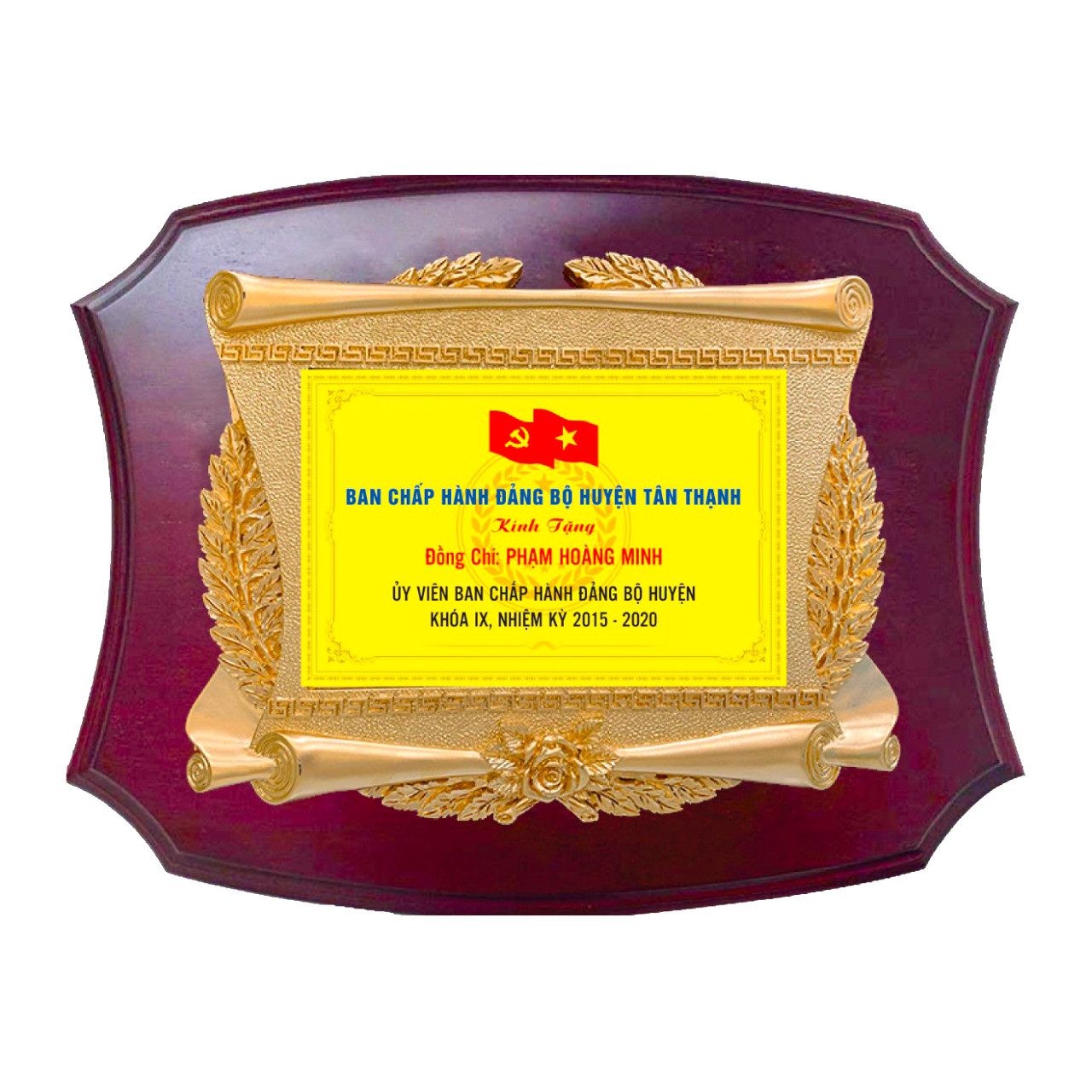 z2168594853307 50352c3a5a7e69cce817e0386f608a88