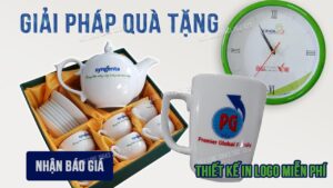Giai phap qua tang